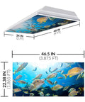 Fluorescent Light Covers For Classrooms And Offices To Kill Harsh Glare And Eye Strain Headache Free Ocean Themed Diffusers In School Master Fish Color 4 Pack Office And Classroom Decorations