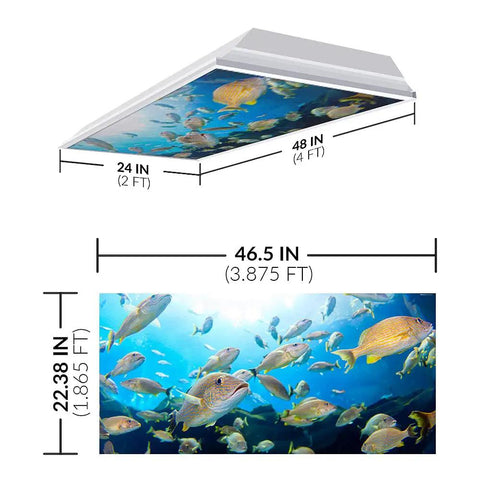Fluorescent Light Covers For Classrooms And Offices To Kill Harsh Glare And Eye Strain Headache Free Ocean Themed Diffusers In School Master Fish Color 4 Pack Office And Classroom Decorations