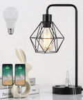 Industrial Black USB Table Lamp With Bulb Included, Modern Farmhouse Bedside Desk Light with metal cage shade