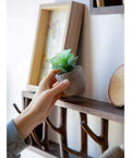 Premium Handcrafted Solid Wood Wall Mounted Coat Rack Featuring Retractable Hooks with decorative plant on shelf.
