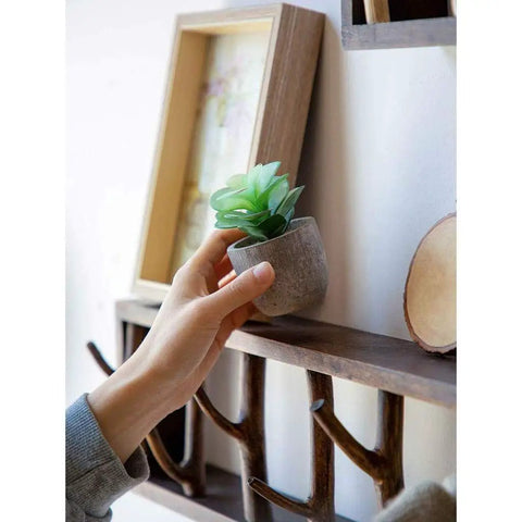 Premium Handcrafted Solid Wood Wall Mounted Coat Rack Featuring Retractable Hooks with decorative plant on shelf.