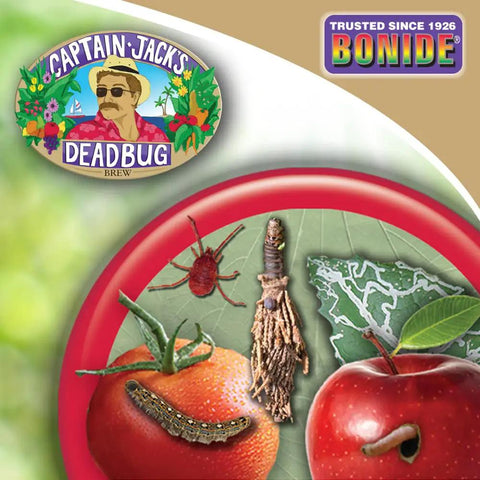 Captain Jack's Deadbug Brew Ready To Use Spray For Outdoor Insect And Mite Control In Organic Gardening 32 Oz package