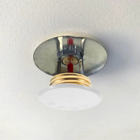 2 Pack Fire Sprinkler Cover Plates Flush Ceiling Finish No Fuss Snap Install Winter Guard on ceiling with gold detail.