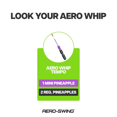 Whip Shaft Tempo Golf Trainer With Flexible Shaft For Tempo Swing Training And Speed Boost, includes mini and regular Pineapples.