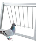 Beefy Steel Frame Loft Pigeon Trap Door Rust Resistant Bird Cage Entrance for racing pigeons, heavy-duty 12 inch 30cm, pigeon entering