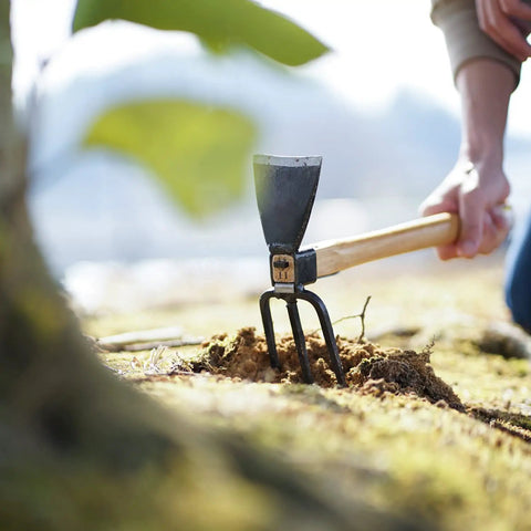 Forged Garden Hoe And Cultivator Hand Tiller From Classic Japanese Craftsmanship in action during precision weeding and cultivation