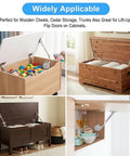Image of Two Pack Soft Close Lid Support Hinges With Adjustable Tension for toy boxes, wooden chests, and storage trunks.