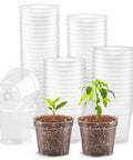 Clear Seed Starter Pots 2.5 Inch, 100 Pack Round Seedling Pots For Germination, Transparent Nursery Pots With Drainage Holes, Easy View For Seeds Sprouts And Small Plants Like Succulents shown with sprouting plants.