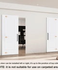 36 By 84 Concealed Sliding Barn Door With Super Slick Glide And Soft Close Hardware in a modern home interior.
