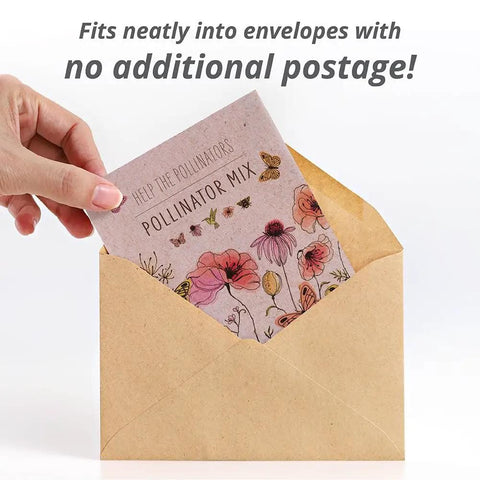 Hand holding Bentley Pollinator Mix Ready-To-Sow Wildflower Seeds Packets For Butterfly Gardens in envelope