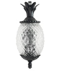 Lanai Collection Two Light Outdoor Wall Mount Lantern Matte Black Wet Location Exterior Fixture with pineapple motif