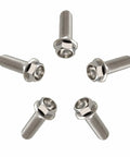Pack of 5 Beast Titanium Flanged Hex Head Bolt M6 x 1.0 x 12mm, 6AL4V Aerospace Grade Ti Fasteners arranged in a circle