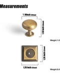 Brushed Brass Cabinet Knob With Backplate Six Pack Zinc Alloy Durable Single Hole Center Mount pull hardware with measurements shown