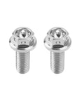Two Pack M6x15mm Flanged Hex Head Bolts Titanium Fully Threaded Drilled Lock Wire Ready Silver Finish