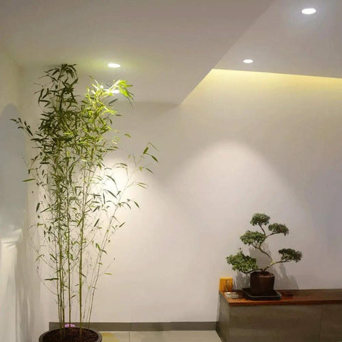 Slick 12W Recessed LED Downlight Boasting Deep Anti Glare Lens 75mm Cutout CRI85 3000K Warm White Ceiling Spotlight illuminating plants.