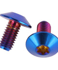 Set Of 4 Beefed Up Titanium Bolts With Torx Head For Bicycle And Motorcycle M5 And M6 In Burnt Blue Finish Includes 12mm 15mm And 20mm Lengths For High Strength Easy Installation And Superior Torque Transfer, two bolts displayed