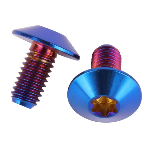 Set Of 4 Beefed Up Titanium Bolts With Torx Head For Bicycle And Motorcycle M5 And M6 In Burnt Blue Finish Includes 12mm 15mm And 20mm Lengths For High Strength Easy Installation And Superior Torque Transfer, two bolts displayed