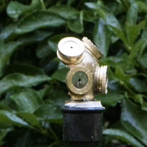 Close-up of Workhorse High Pressure Brass Sprayer Nozzle Set With Four Interchangeable Tips For Garden Irrigation against green foliage.