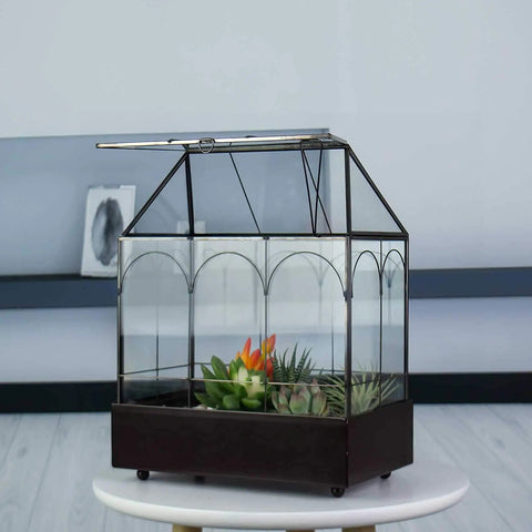 Tall Glass Plant Terrarium With Lip And Tray On Wheels For Home Succulents And Houseplants Glass Greenhouse Waterproof Brass Tray With Dope Wheels 9.5 By 5.7 By 11.4 Inches
