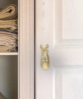 Real Deal Brass Animal Head Cabinet Knobs With Sweet Golden Finish Durable Drawer Pulls For Wardrobes Cupboards Easy Install Furniture Setup on a wardrobe.