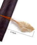 Single natural tone rooster feather, 5 to 7 inches, from 200 Pieces 5 To 7 Inch Nature Saddle Hackle Rooster Feathers For Crafts collection.