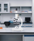 Kids And Adults Microscope With 40X To 2000X Magnification, Professional Compound Microscope With LED Illumination in lab setting