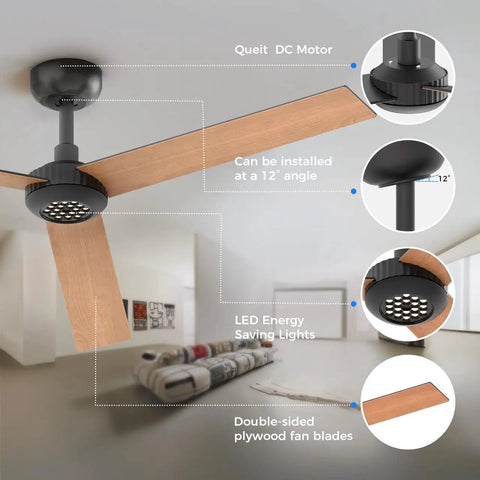 Modern 52" Indoor Ceiling Fan with LED Light Kit, Reversible DC Motor, Double-Sided Plywood Blades & 3-Color Dimmable Lighting installed at 12° angle.