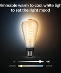 Smart Filament LED Bulb 60W Equivalent White Ambiance Warm to Cool, 2 Pack, 550 Lumens, E26 Indoor shown with dimming control.