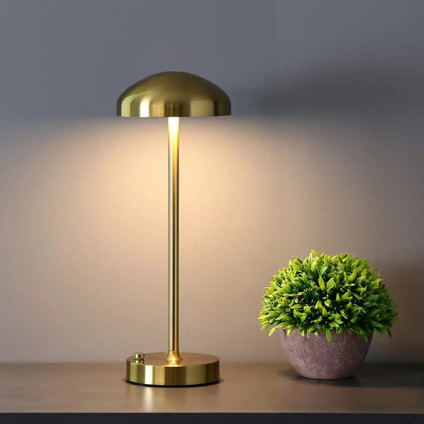 Cordless LED Table Lamp With Touch Sensor, Dimmable Brightness And Three Color Modes, Rechargeable Battery Powered Night Light beside plant