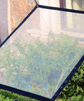 Two Pack Clear Tarp Waterproof With Grommets 8x10 Ft Transparent Tarpaulin over plants in a garden
