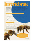 Invertebrates poster from 7 Poster Animal Groups Set For Science Classroom Learning Mammals Birds Amphibians Invertebrates Reptiles Fish And Biological Kingdom Classification 12 By 18 Inches Made In USA Perfect K12 Kid Friendly Teacher Decor