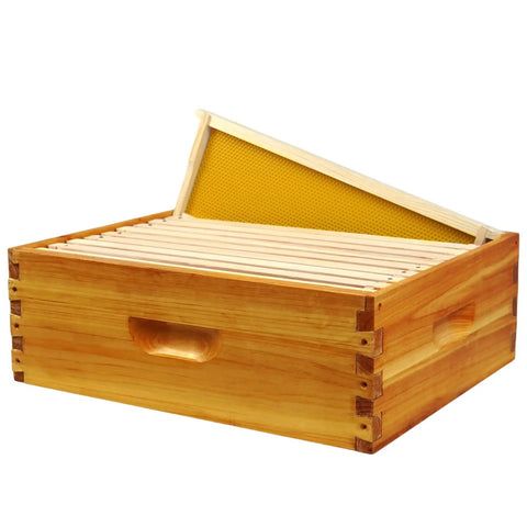 10 Frame Langstroth Medium Super Beehive Box Kit With Beeswax Dip Includes 10 Frames And Wax Foundations Yellow Unassembled