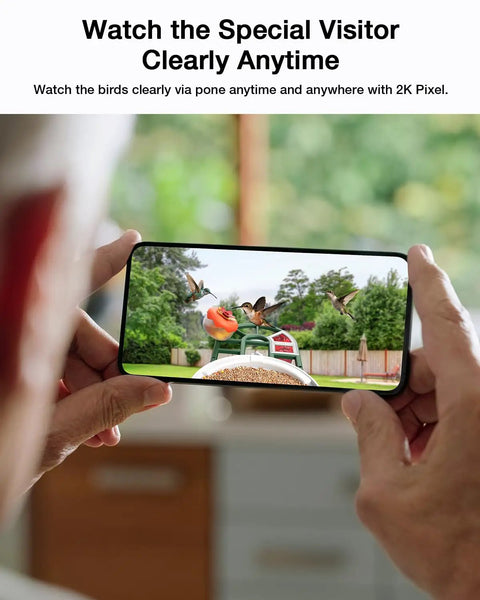 Person holding phone with live feed from Solar Powered Bird Feeder With Camera, 2K Live Feed, Smart AI Bird Recognition shown