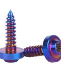 Heavy Duty Premium Titanium Self Tapping Screws M5x18mm Torx Star Drive 4 Pack Burnt Blue Coating close-up view of two screws.