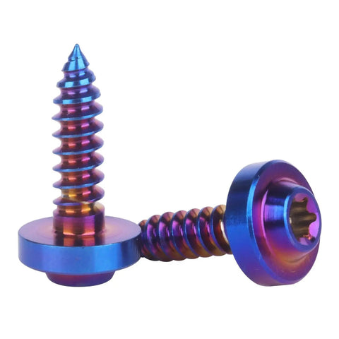 Heavy Duty Premium Titanium Self Tapping Screws M5x18mm Torx Star Drive 4 Pack Burnt Blue Coating close-up view of two screws.