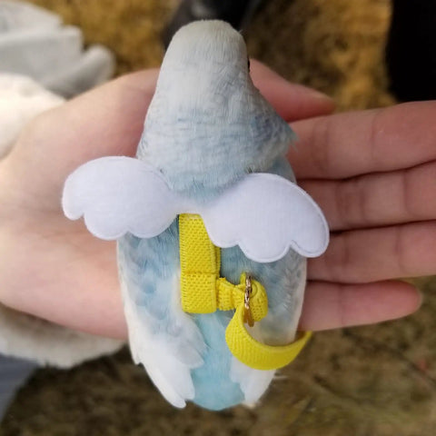 Parrot Bird Harness Leash For Outdoor Training Adjustable Flying Harness with yellow strap on blue bird in hand