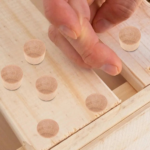 Small Wooden Hole Plugs Set 50 Pcs Natural Finish Carpenter Bee Hole Plugs in DIY Woodworking Project