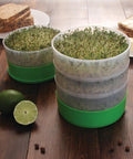 Stacked Deluxe Seed Sprouter with four growing trays filled with alfalfa sprouts, showing easy indoor sprouting without soil.