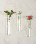 Glass Test Tube Set, 24 Pieces, 80ml Each, 25 By 200mm Glass Tubes with Cork Stoppers for Plant Growth and Decor