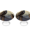 Owl Sitting Tree Fence Drawer Pulls Round Cabinet Knobs In Modern Stainless Steel For Kitchen And Furniture Makeovers