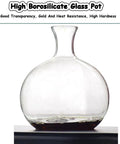 High Borosilicate Glass Pot with dark liquid, showcasing clarity and heat resistance for brewing coffee or tea.