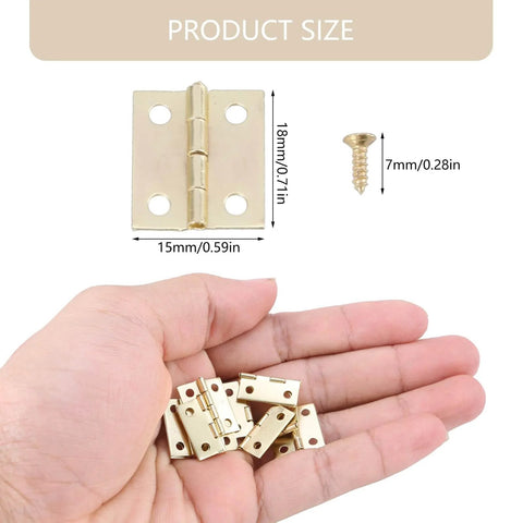 Hand holding Gold Small Hinges Set With Screws For Crafting And Decorative Boxes Metal Hinges 50 Pieces Plus 200 Screws Durable Golden Yellow Finish