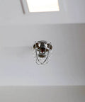 Six Pack Tool Free Fire Sprinkler Head Covers Tough As Nails Protector Cage With Exposed Shackle For Vandalism And Impact Shielding No Sweat Outdoor Setup Bully Proof Safety Gear with stainless steel cover