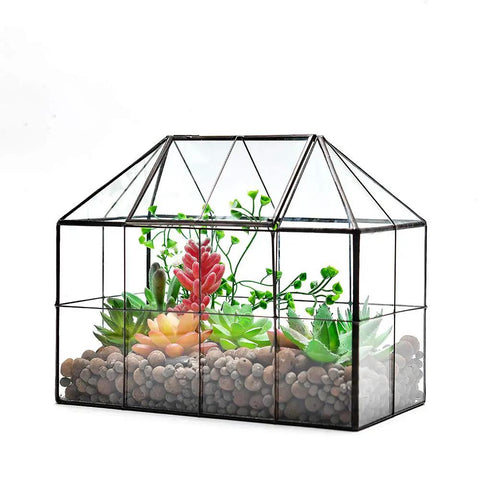 Glass Terrarium House Planter With Swing Lid For Succulents And Small Plants, Modern Glass Greenhouse Habitat, Black Accent, Totally Perfect For Moss, Ferns, Cacti, And Venus Flytrap, 9.8 By 7.9 By 5.9 Inches
