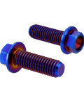 Two Rison titanium flanged hex bolts with burnt blue finish, M8x1.25x20mm