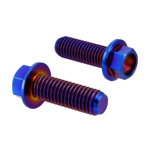 Two Rison titanium flanged hex bolts with burnt blue finish, M8x1.25x20mm