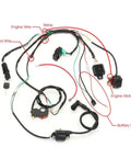 6 Coil CDI Ignition Wiring Harness Kit For Motorcycle ATV Quad Pit Bike 50cc 70cc 90cc 110cc 125cc Ignition Switch Replacement Plug And Play Complete Electrics For A Fast Reliable Spark And Easy Start, showing labeled wires and components.