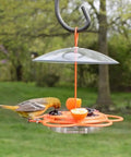 Go-To Multi-Station Oriole Feeder With Ant Moat And Weather Baffle, Heavy-Duty Metal And Plastic Wild Bird Feeder With 12 Oz Nectar Capacity, Orange For Outdoor Use.