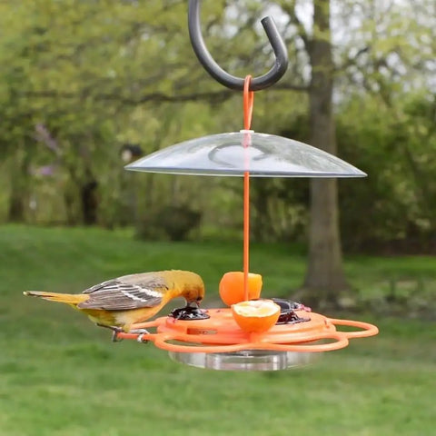 Go-To Multi-Station Oriole Feeder With Ant Moat And Weather Baffle, Heavy-Duty Metal And Plastic Wild Bird Feeder With 12 Oz Nectar Capacity, Orange For Outdoor Use.