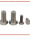 Top Shelf Pure Titanium Hex Head Bolts M10 Flat Head Machine Screws Assorted Lengths Set Of Ten showing various sizes of titanium bolts.